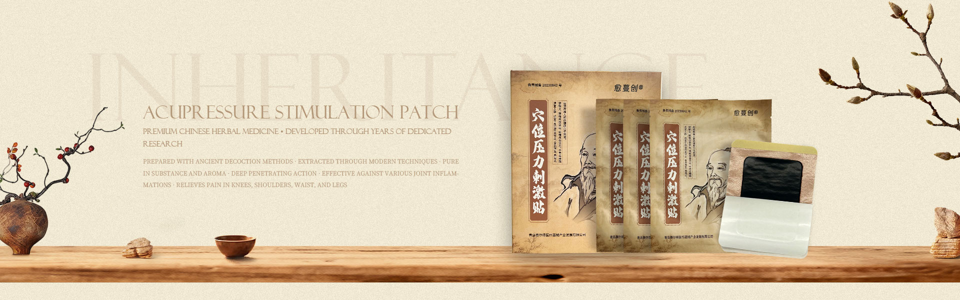 Επίθεμα διέγερσης βελονισμού